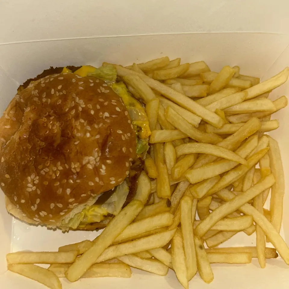 Cheeseburger with a sesame bun served with fries